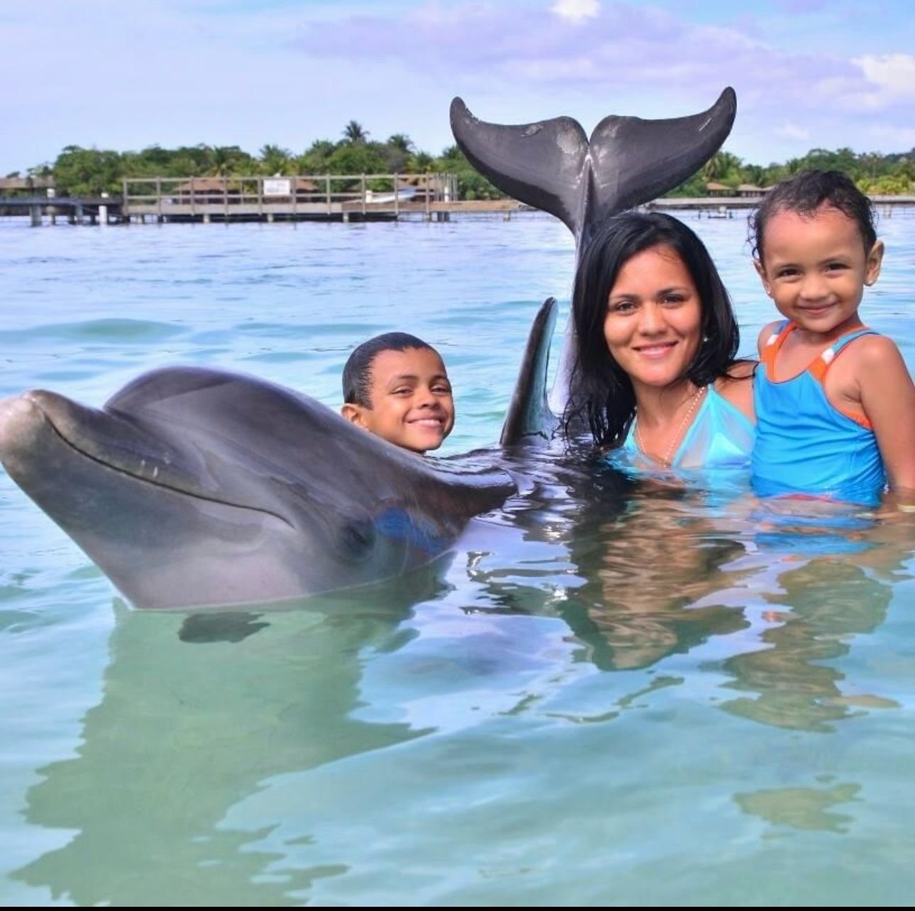 Guest swimming with dolphin
