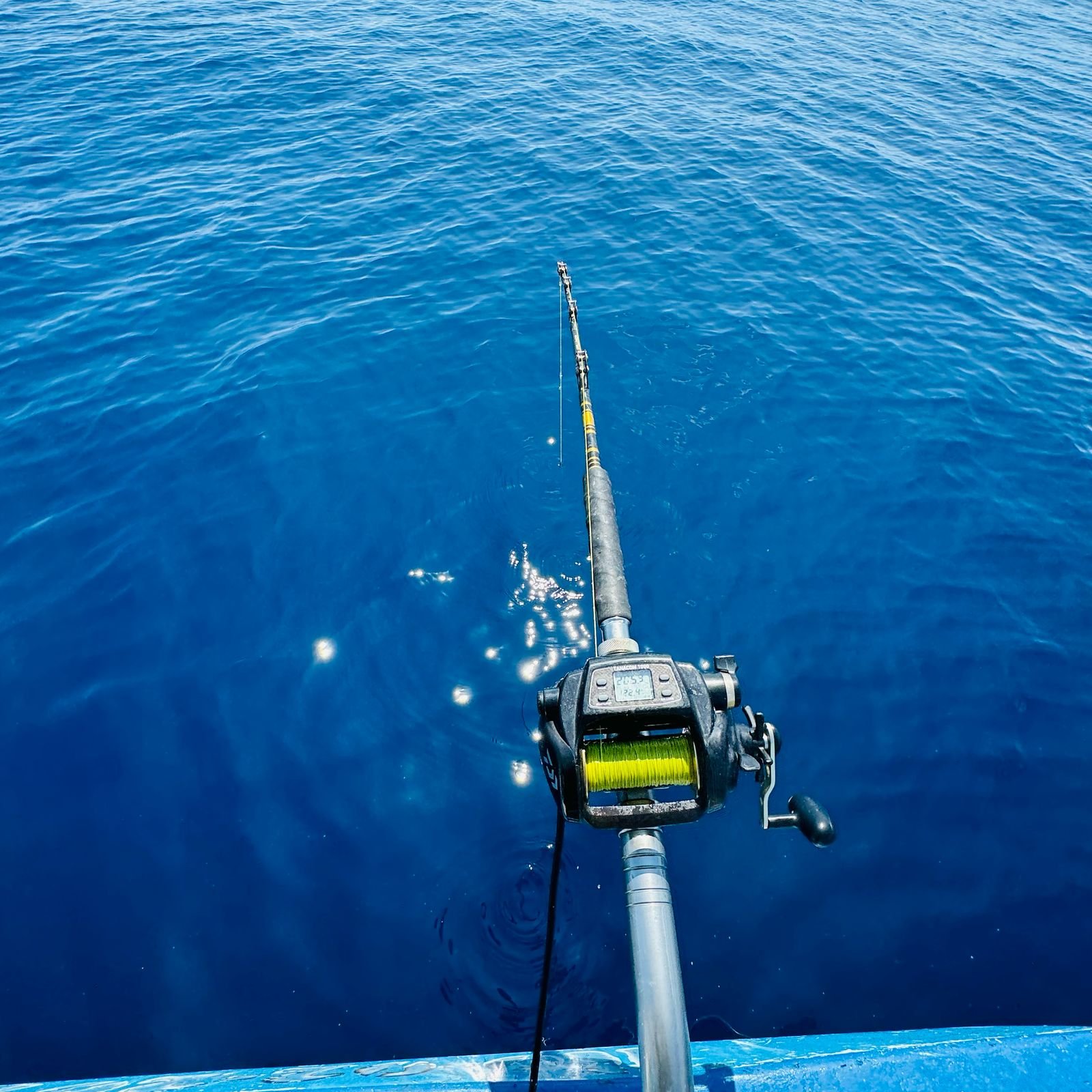 Guest holding a fresh catch on boat
