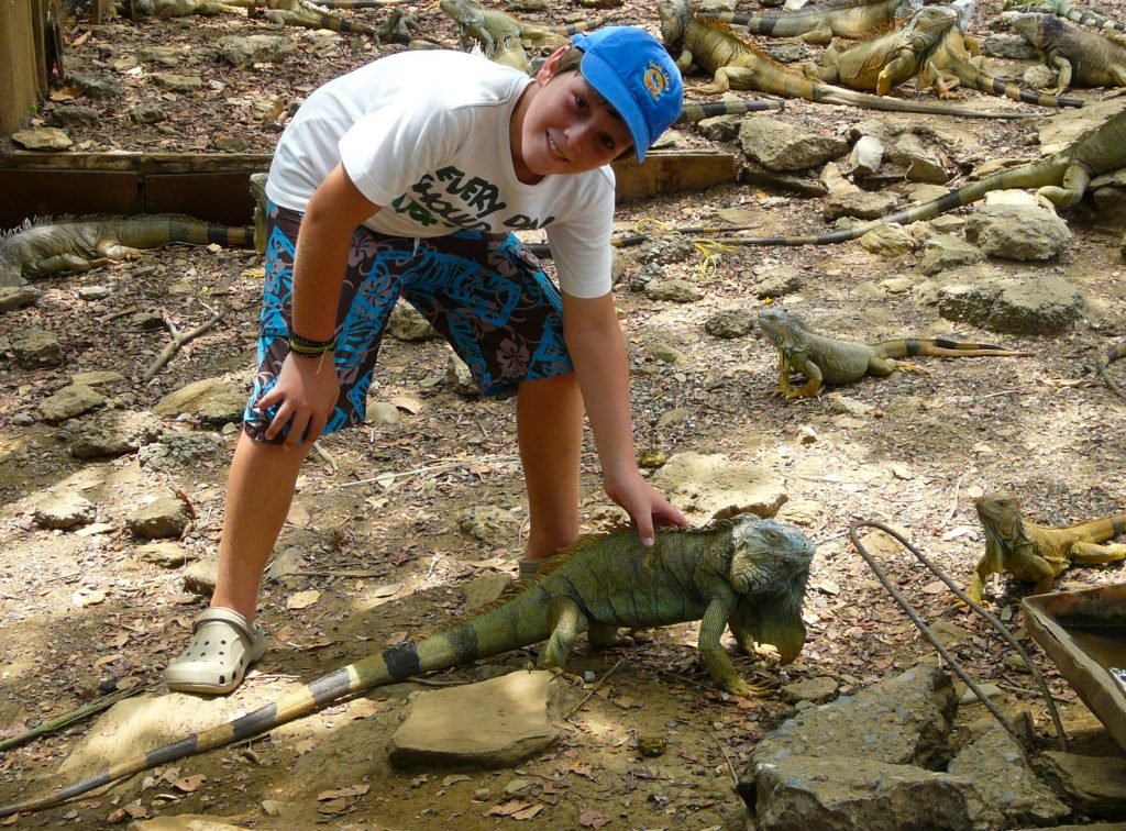 Visitor feeding iguanas