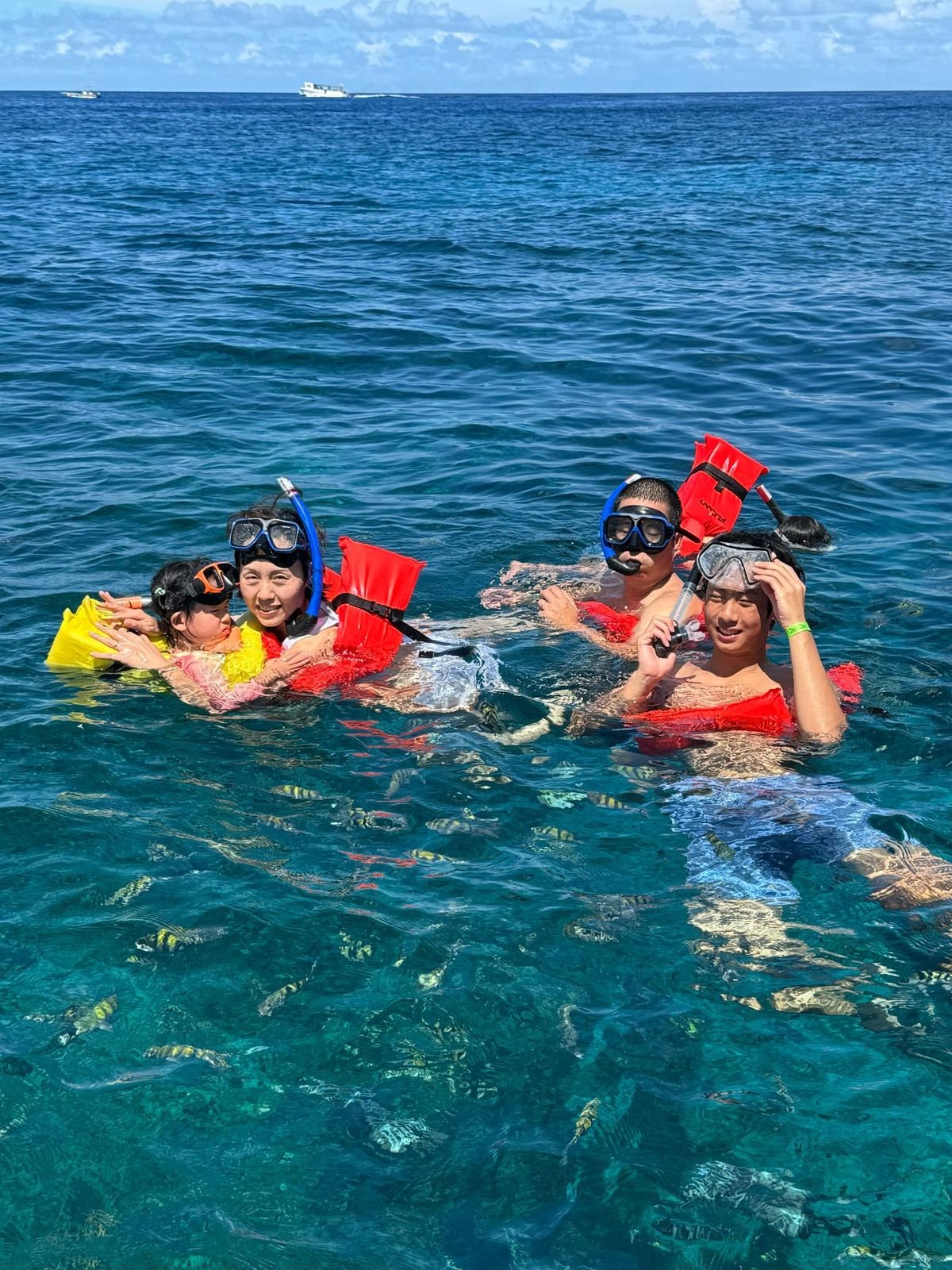 Snorkeler exploring colorful coral reef
